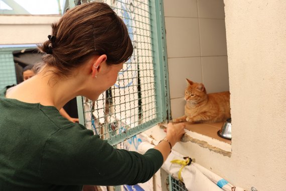 <p>Obras lentas, al fin serán entregadas. Falta plata</p>