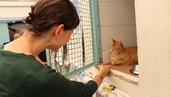 Obras lentas, al fin serán entregadas. Falta plata