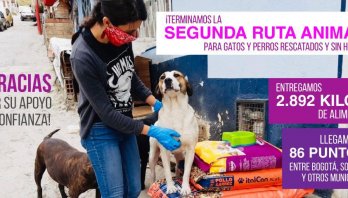 Concluye recorrido para llevarles alimento a gatos y perros sin hogar en Bogotá durante esta cuarentena!