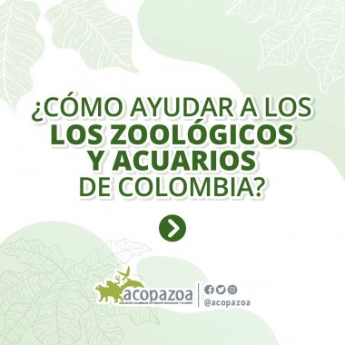 <p>Armadillos, tigres, osos y miles de animales silvestres nativos y exóticos en peligro por escasez de alimento</p>