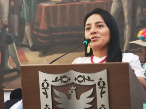<p>Concejala Ati Quigua presenta propuestas al Plan de Desarrollo Distrital 2020-2024</p>