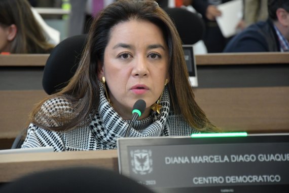 <p>La Concejal Diana Diago hizo públicas sus inconformidades con la propuesta de Plan de Desarrollo presentada por la Alcaldía de Bogotá.</p>