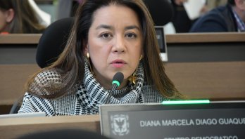 La Concejal Diana Diago hizo públicas sus inconformidades con la propuesta de Plan de Desarrollo presentada por la Alcaldía de Bogotá.