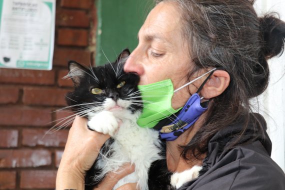 <p>El hogar  de gatos abandonados, en Kennedy, donde ‘Emilio’ se salvó</p>