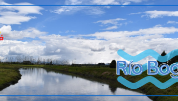 Distrito deberá trabajar en el saneamiento de los ríos urbanos: Concejo de Bogotá