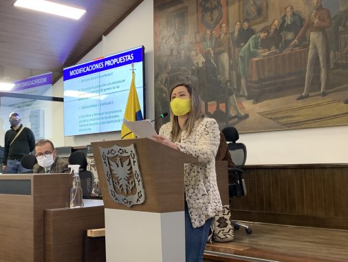 <p>Aprobado en primer debate el proyecto por el cual se establecen entornos educativos seguros en Bogotá</p>