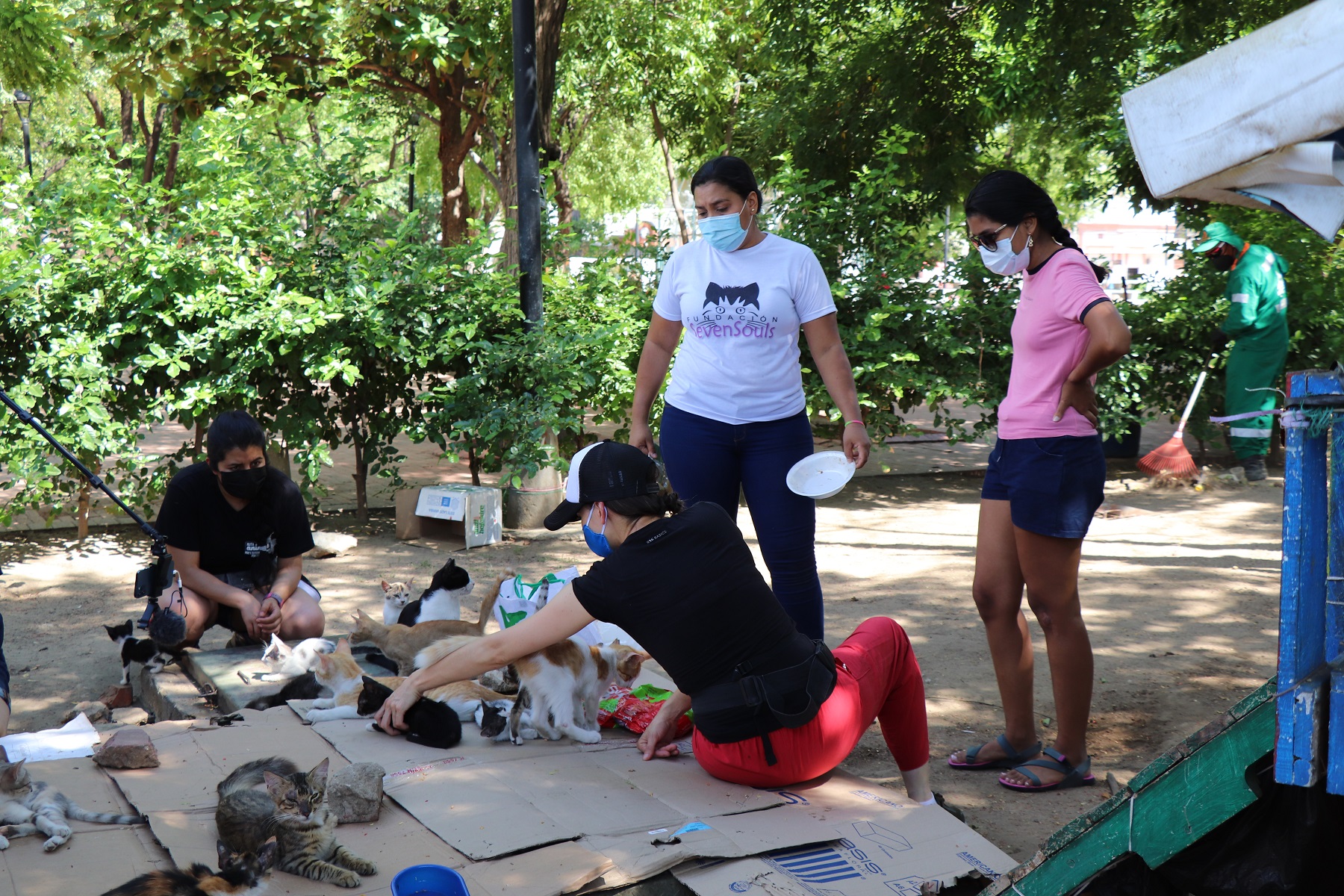 Concejal Andrea Padilla atendiendo a gatos, se encuentra acompañada de tres personas mas