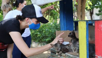 La Ruta Animal llega a Santa Marta y a Riohacha