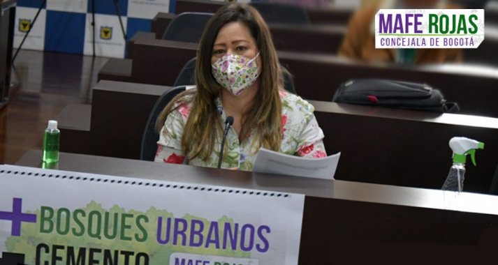 <p>Bogotá necesita más Bosques Urbanos y menos cemento</p>