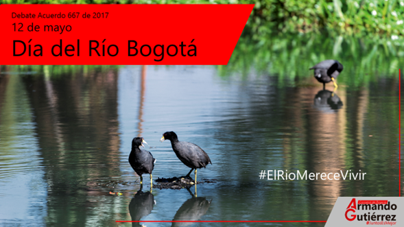 <p>Grandes retos para descontaminar el río Bogotá</p>