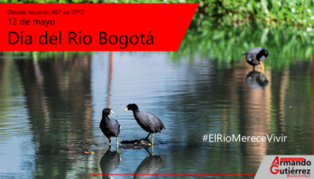 Grandes retos para descontaminar el río Bogotá
