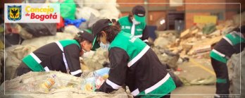 A segundo debate proyecto para sustituir la tracción humana en la labor de los recicladores de oficio de Bogotá