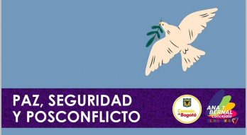 La concejala de Bogotá Ana Teresa Bernal lamentó los pocos avances de la estrategia de paz en la Ciudad