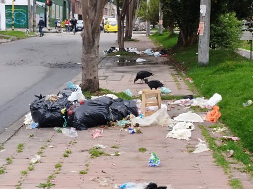 <p>¿De quién es la responsabilidad del desaseo en las calles de Bogotá?</p>