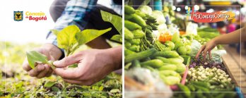 Lineamientos para Plazas de Mercado y desincentivar el uso del herbicida PARAQUAT, proyectos aprobados hoy en el Concejo