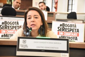 La violencia intrafamiliar está disparada en Bogotá: concejal Diana Diago
