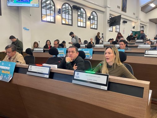 <p>Nos preocupa el incremento de la inseguridad en entornos escolares en los colegios de Bogotá: Concejal María Clara Name</p>