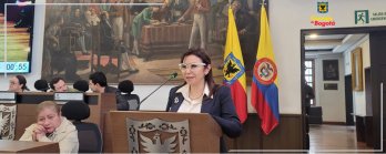Concejo de Bogotá elige a Luz Angélica Vizcaino, secretaria general para el periodo 2024 - 2026