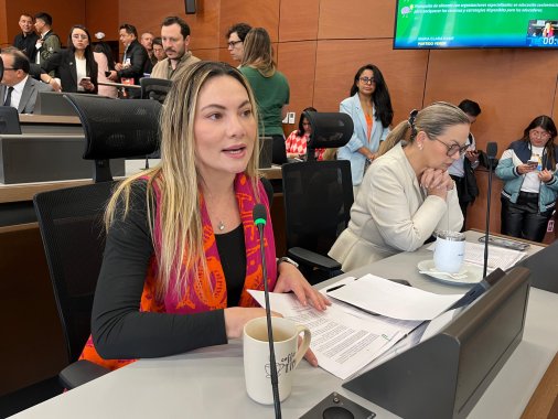 <p>Aprobado en primer debate, Proyecto que incluye catedra de Educación Socioemocional en la formación de estudiantes y docentes en jardines y colegios de Bogotá</p>