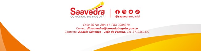 Pie de página David Saavedra