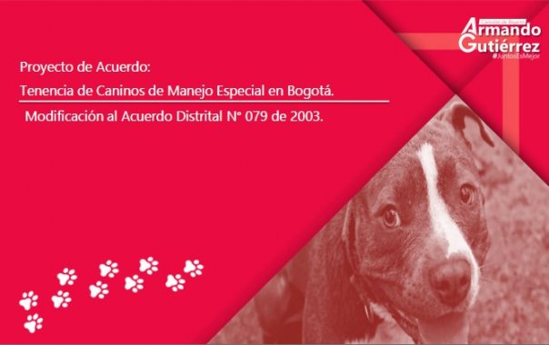 <p>Modificación al Acuerdo Distrital N.° 079 de 2003: Tenencia Responsable de Caninos de Manejo Especial</p>