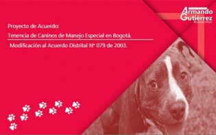 Modificación al Acuerdo Distrital N.° 079 de 2003: Tenencia Responsable de Caninos de Manejo Especial