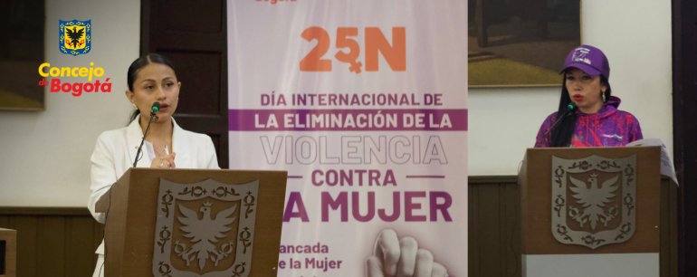 <p>Foro 25N - día internacional de la eliminación de la violencia contra la mujer</p>