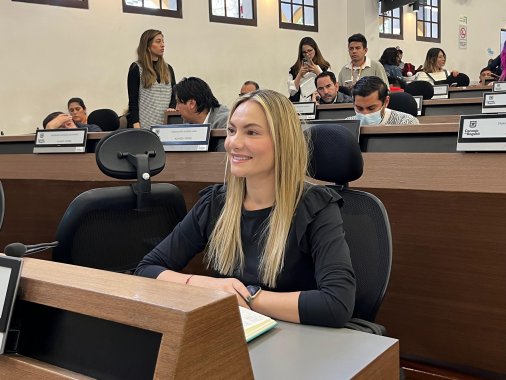 <p>Aprobado Proyecto que crea la Fiesta Cultural y Recreativa para Niñas y Niños en Bogotá</p>