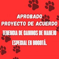 Un paso adelante en convivencia y seguridad: Bogotá adopta nuevas normas para tenencia de perros especiales