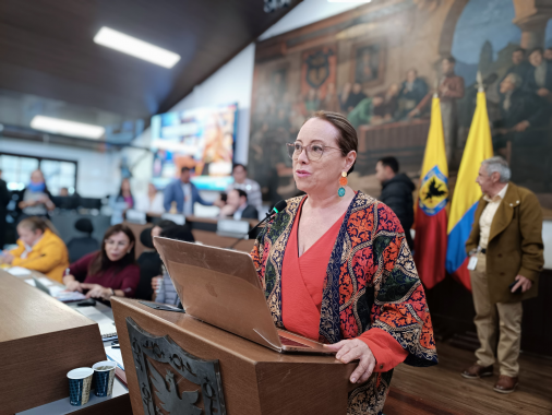 <p>Ana Teresa Bernal presenta ponencia negativa al presupuesto 2025 de Bogotá: “Un modelo desconectado de las necesidades de la ciudad más desigual del país”</p>