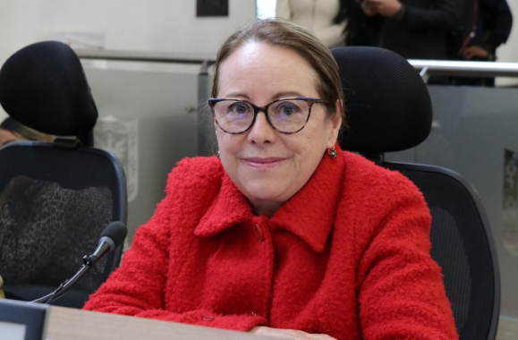 <p>El espacio público como derecho: Ana Teresa Bernal llama a proteger a los trabajadores informales</p>