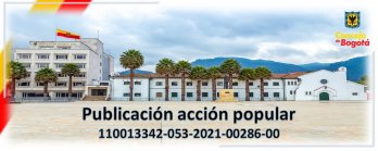 Publicación acción popular - radicado 110013342-053-2021-00286-00, accionantes: Luz Estella Díaz Arevalo y Yohanna Alexandra Leal Roa, y accionada la alcaldía mayor de y otros