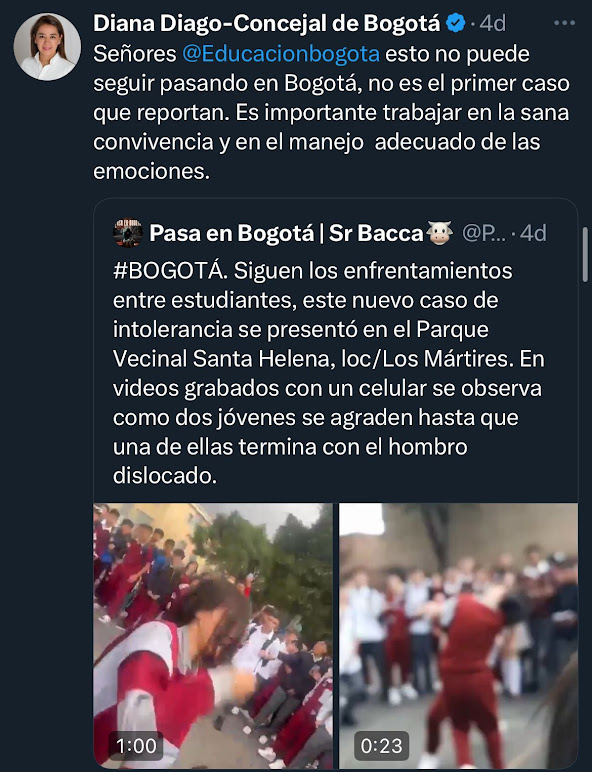 Imagen de publicación de la concejal Diago en la red social X