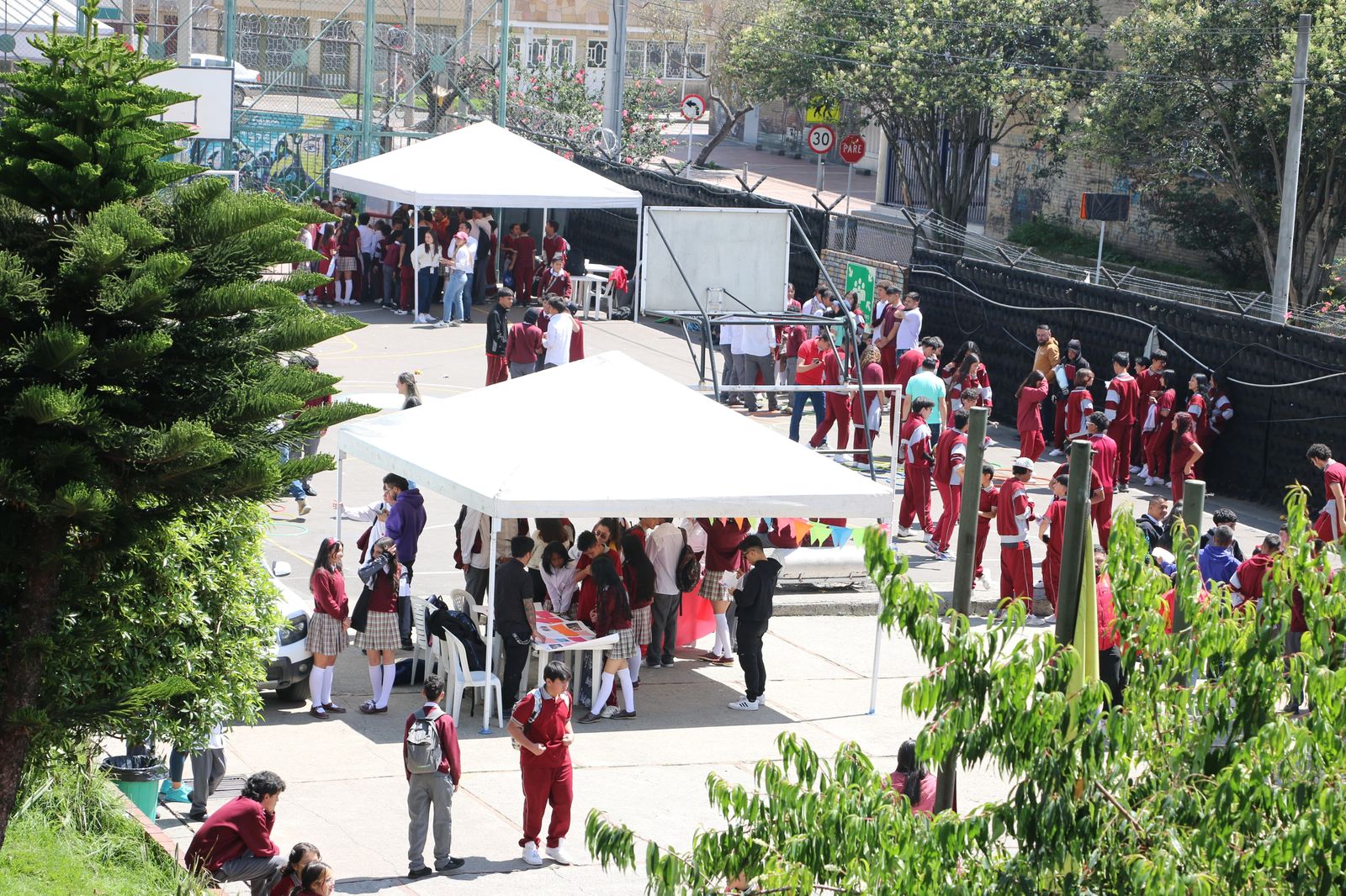 Imagen foto_00000021