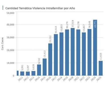 Imagen de gráfico de barras titulada "Cantidad temática violencia intrafamiliar por año