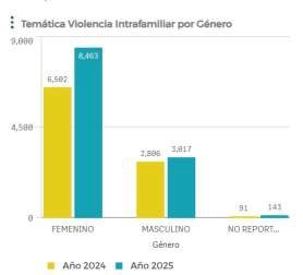 Imagen de gráfico de barras titulado "Temática violencia intrafamiliar por género
