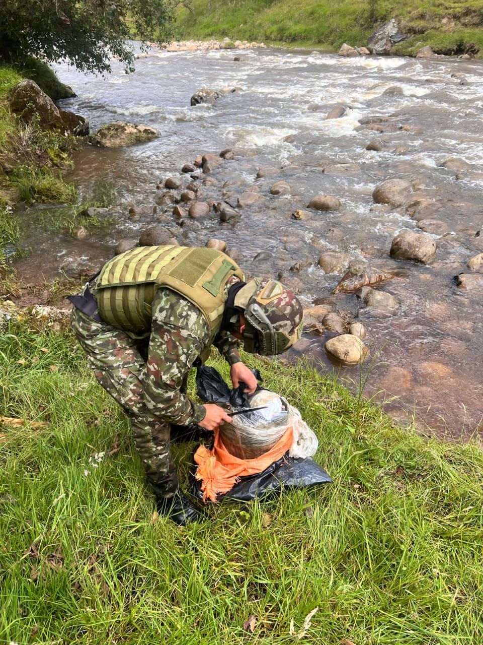 Imagen foto_00000003