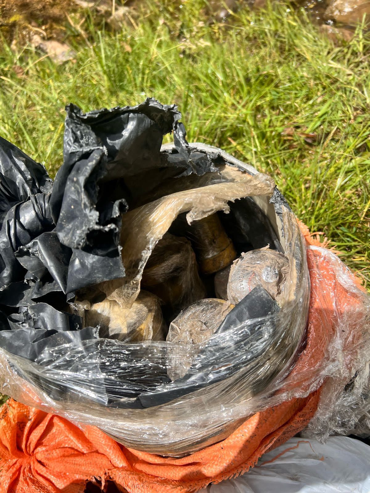 Imagen foto_00000005