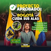 Histórico: la Tingua Bogotana declarada ave emblemática de la ciudad