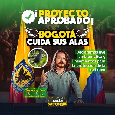 <p>Histórico: la Tingua Bogotana declarada ave emblemática de la ciudad </p>