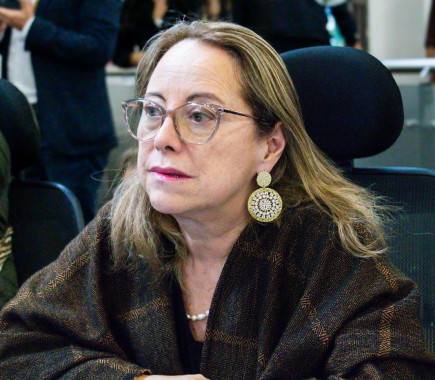 <p>Concejala Ana Teresa Bernal denuncia el abandono institucional del Colegio La Arabia en Ciudad Bolívar y exige intervención urgente del Distrito</p>