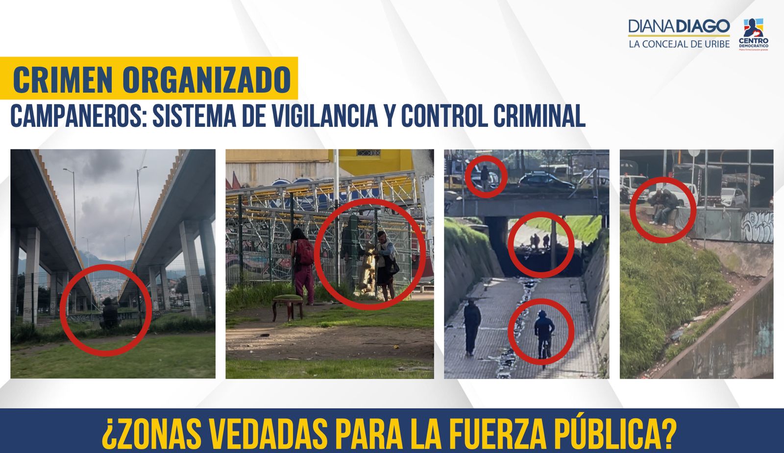 Pie de página Diana Diago