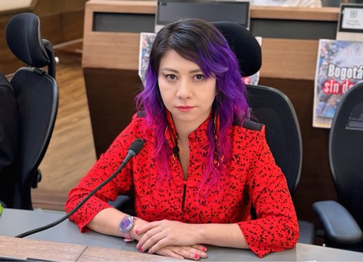 <p>Concejala advierte demanda si el alcalde sanciona el acuerdo sobre señalización de zonas de consumo</p>