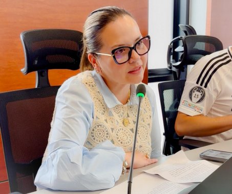 <p>El Concejo de Bogotá aprueba en primer debate proyecto que fortalece la participación comunitaria en la garantía de los derechos de la niñez</p>