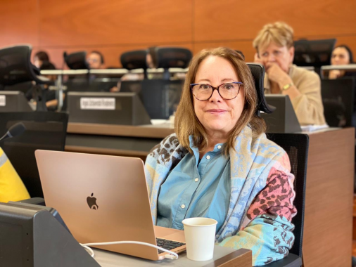 <p>Concejala Ana Teresa Bernal alerta sobre presuntas irregularidades en contratación y ejecución del Fondo de Desarrollo Local</p>