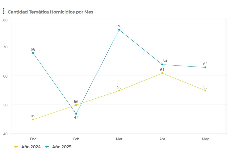 Imagen de gráfico de barras titulado "Cantidad temática homicidios por Mes