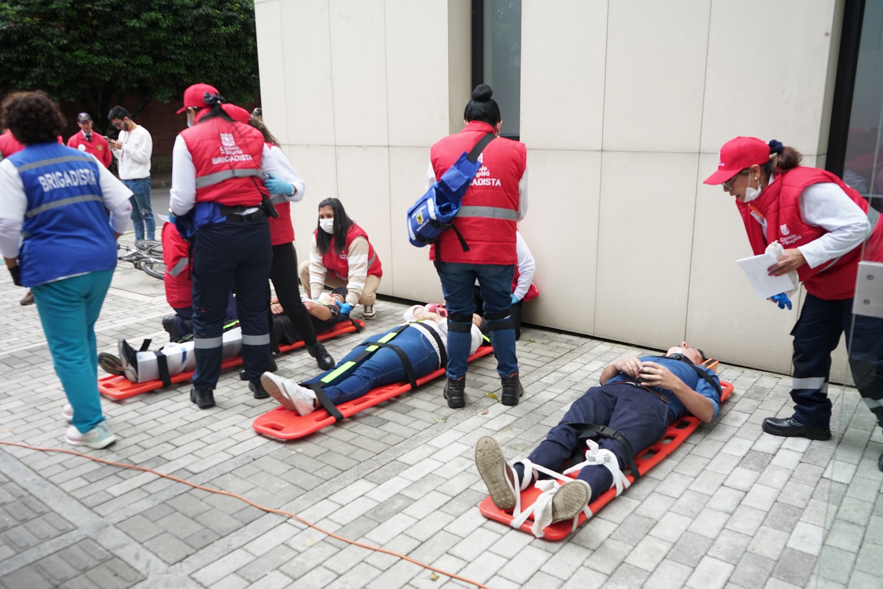 Imagen foto_00000005