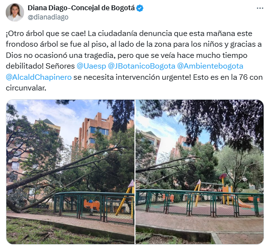 Tuit H.C. Diana Diago