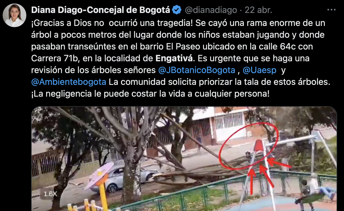 Tuit H.C. Diana Diago 