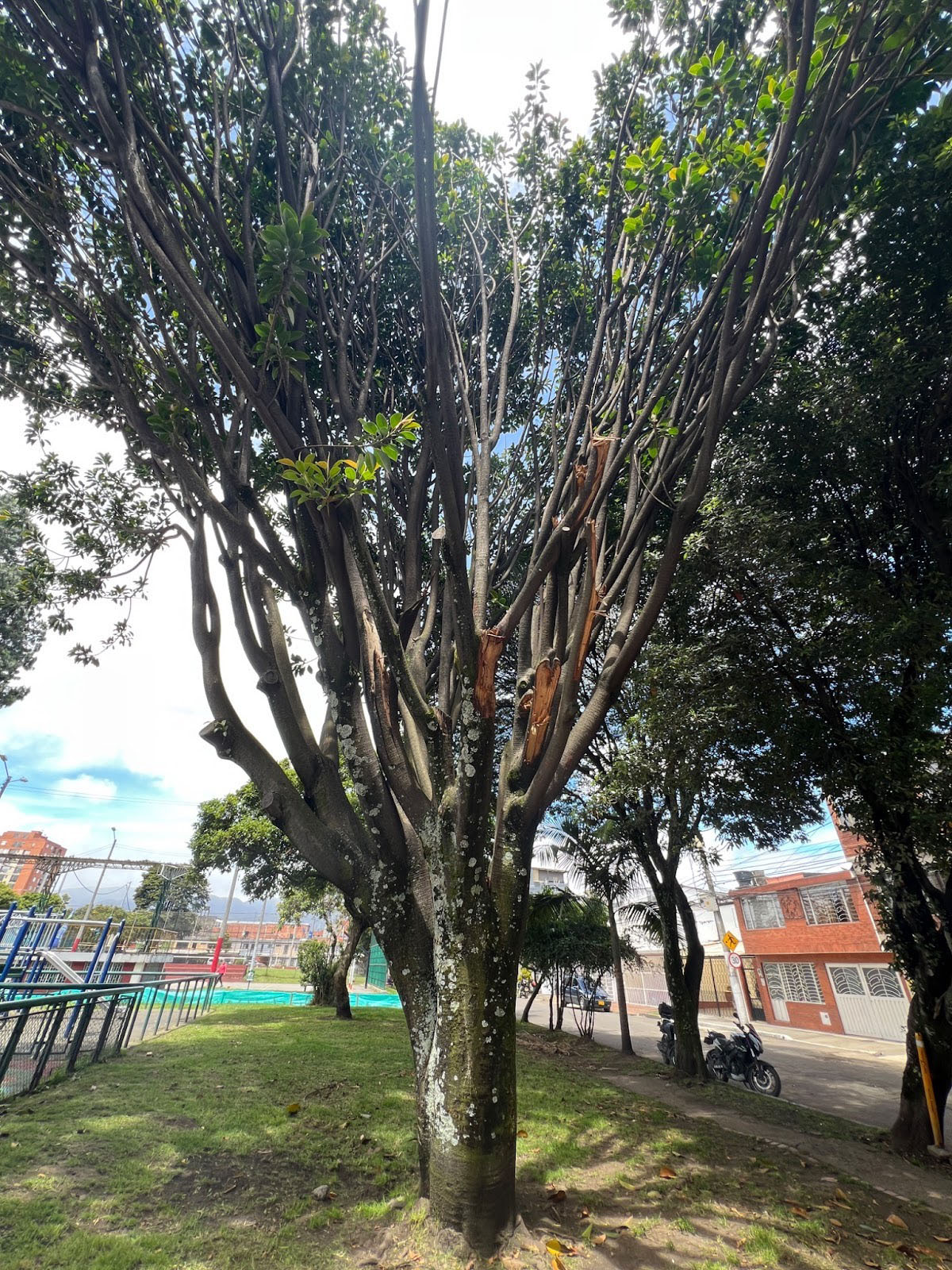 Parque el Paseo, Localidad de Engativá.